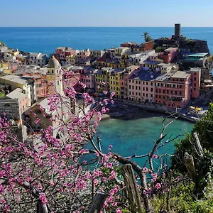 Cegi's Vernazza
